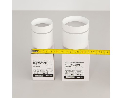 Citilux Борн CL745010N LED Светильник накладной Белый