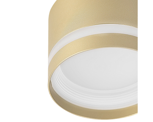 Citilux Hardy CL002C12 Светильник накладной Золото