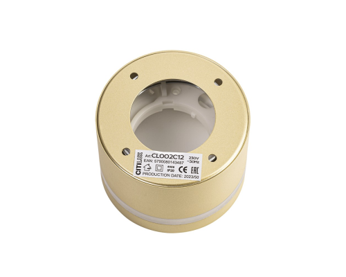 Citilux Hardy CL002C12 Светильник накладной Золото