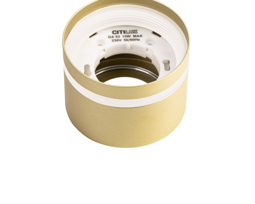 Citilux Hardy CL002C12 Светильник накладной Золото