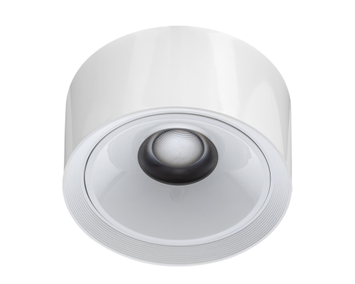 Citilux ROVER CL743060N LED Накладной светильник Белый