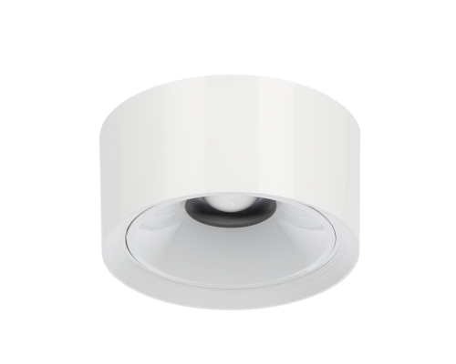 Citilux ROVER CL743060N LED Накладной светильник Белый