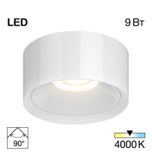 Citilux ROVER CL743090N LED Накладной светильник Белый