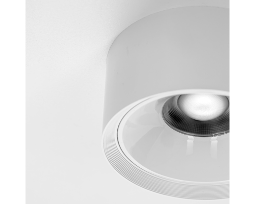 Citilux ROVER CL743090N LED Накладной светильник Белый