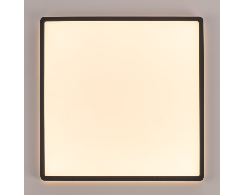 Citilux NORMA CL748K401 LED Светильник с подсветкой Чёрный