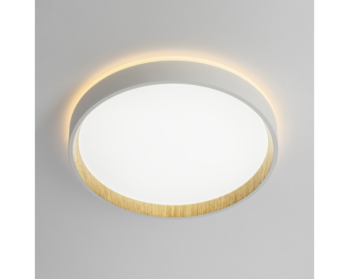 Citilux ETALON CL750240 LED Светильник с подсветкой Белый+Бук