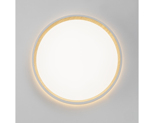 Citilux ETALON CL750240 LED Светильник с подсветкой Белый+Бук