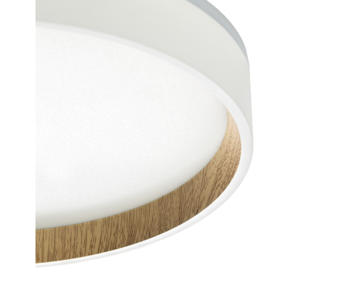 Citilux ETALON CL750240 LED Светильник с подсветкой Белый+Бук