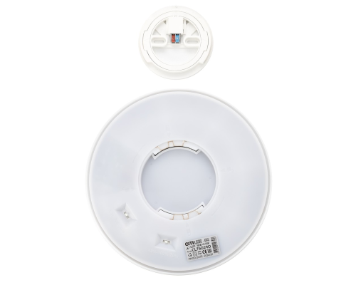 Citilux ETALON CL750240 LED Светильник с подсветкой Белый+Бук