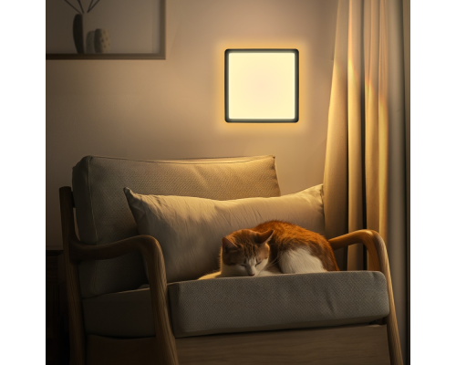 Citilux NORMA CL749K301 RGB Светильник с пультом Чёрный