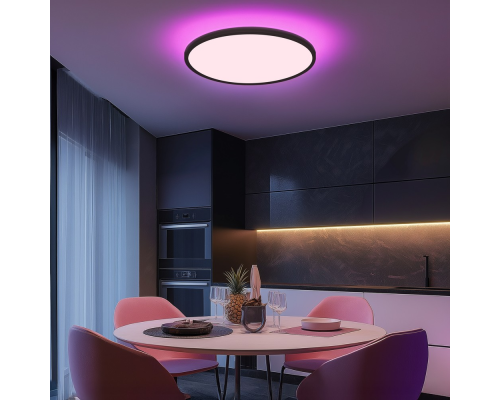 Citilux NORMA CL749401 LED RGB Светильник с пультом Чёрный