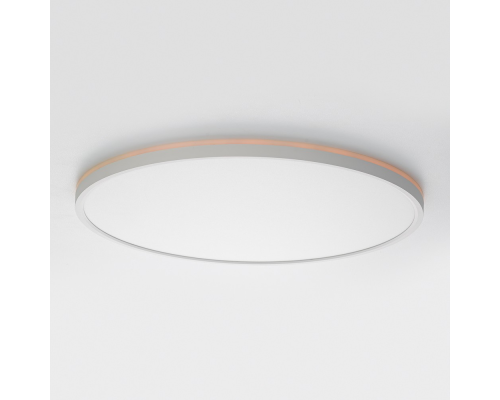 Citilux NORMA CL749500 LED RGB Светильник с пультом Белый