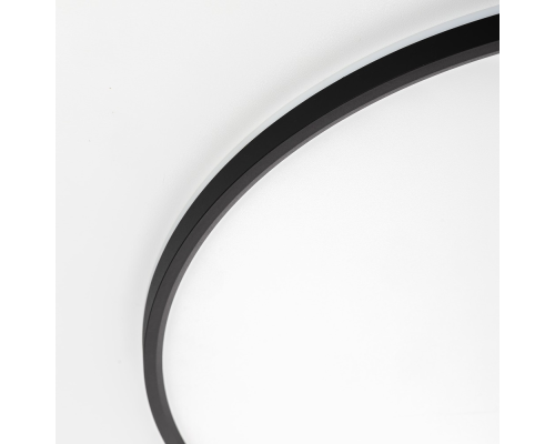 Citilux NORMA CL749601 LED RGB Светильник с пультом Чёрный