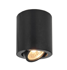 Citilux Дюрен CL538113 Светильник накладной поворотный Черный