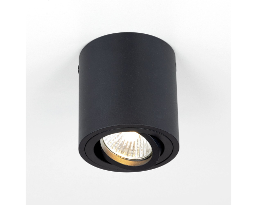 Citilux Дюрен CL538113 Светильник накладной поворотный Черный