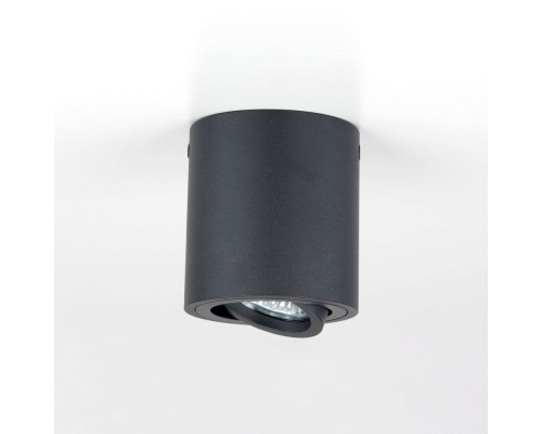 Citilux Дюрен CL538113 Светильник накладной поворотный Черный