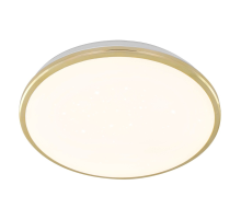 Citilux Луна CL702302Wz LED Светильник с диммером Золото