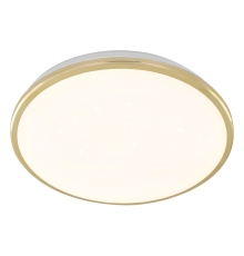 Citilux Луна CL702302Wz LED Светильник с диммером Золото