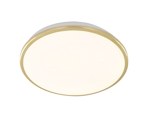 Citilux Луна CL702302Wz LED Светильник с диммером Золото