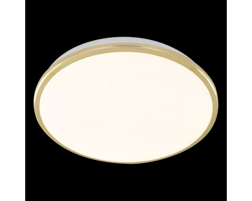 Citilux Луна CL702302Wz LED Светильник с диммером Золото