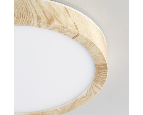 Citilux Бейсик CL738122N LED Светильник накладной Клён