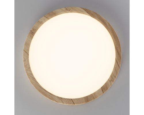 Citilux Бейсик CL738182V LED Светильник накладной Клён