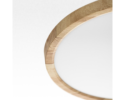 Citilux Бейсик CL738242V LED Светильник накладной Клён