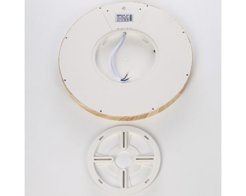 Citilux Бейсик CL738242V LED Светильник накладной Клён