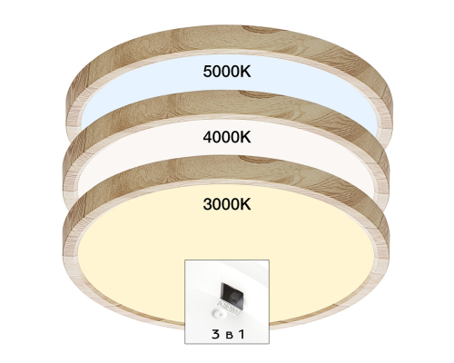 Citilux Бейсик CL738242V LED Светильник накладной Клён