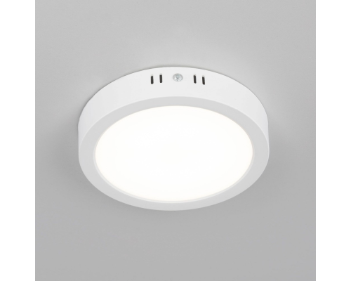 Citilux Галс CL5516N Светильник накладной светодиодный