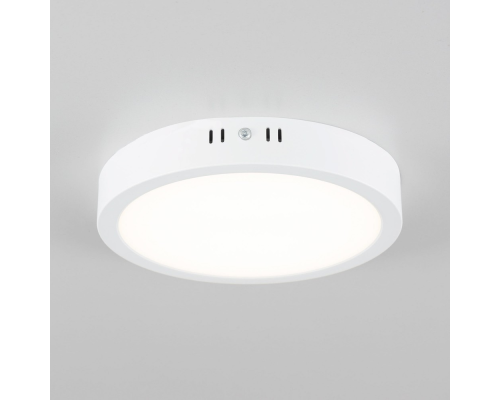 Citilux Галс CL5522N Светильник накладной светодиодный