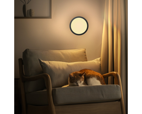 Citilux Бейсик CL738181V Светильник накладной Чёрный