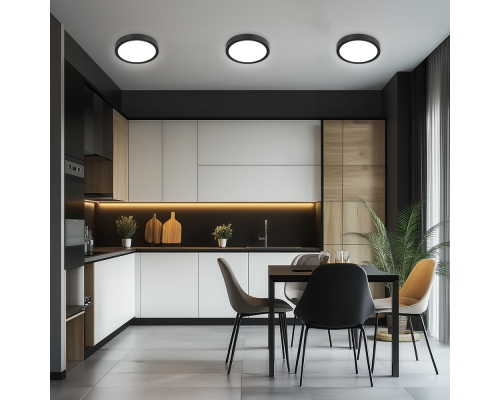 Citilux Бейсик CL738181V Светильник накладной Чёрный