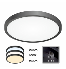 Citilux Бейсик CL738241V Светильник накладной Чёрный