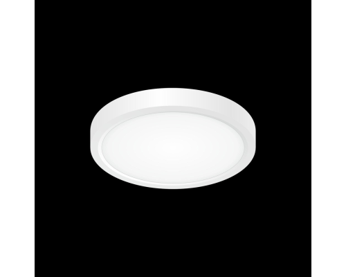 Citilux Бейсик CL738120N Светильник накладной Белый