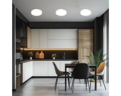 Citilux Бейсик CL738120N Светильник накладной Белый