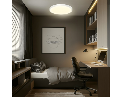 Citilux Бейсик CL738320V Светильник накладной Белый