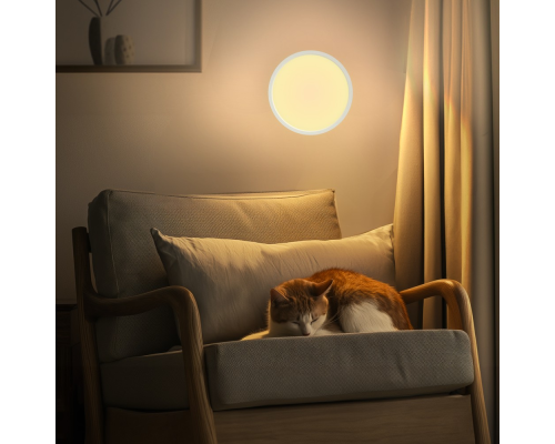 Citilux Бейсик CL738320V Светильник накладной Белый