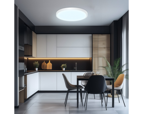 Citilux Бейсик CL738320V Светильник накладной Белый