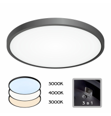 Citilux Бейсик CL738321V Светильник накладной Чёрный