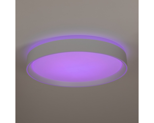 Citilux BOSS CL751350G LED RGB Светильник с пультом Белый