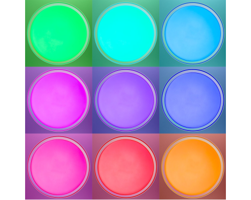 Citilux BOSS CL751350G LED RGB Светильник с пультом Белый