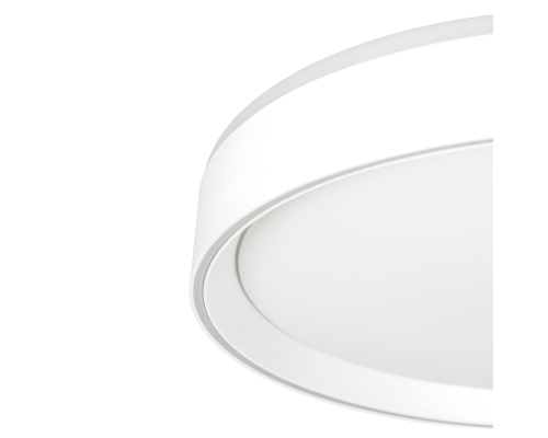 Citilux BOSS CL751350G LED RGB Светильник с пультом Белый