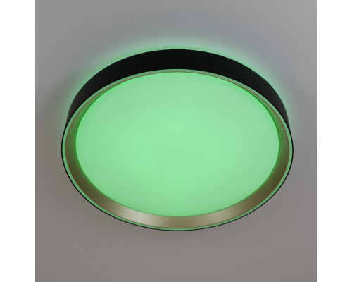 Citilux BOSS CL751351G LED RGB Светильник с пультом Чёрный с Золотом