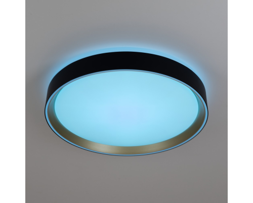 Citilux BOSS CL751351G LED RGB Светильник с пультом Чёрный с Золотом