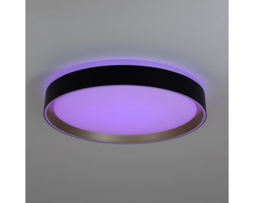 Citilux BOSS CL751351G LED RGB Светильник с пультом Чёрный с Золотом