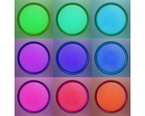 Citilux BOSS CL751351G LED RGB Светильник с пультом Чёрный с Золотом