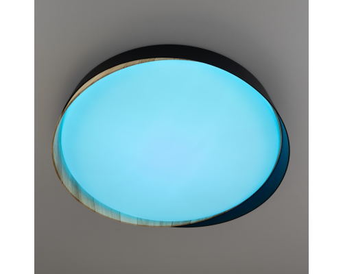 Citilux BONNY CL754351G LED RGB Светильник с пультом Черный+Клён