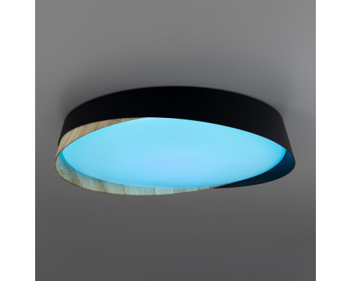 Citilux BONNY CL754351G LED RGB Светильник с пультом Черный+Клён