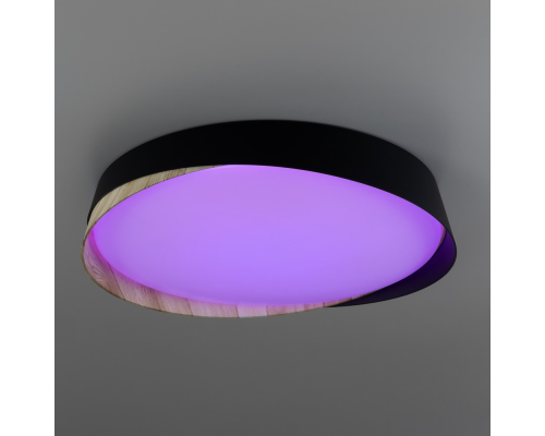 Citilux BONNY CL754351G LED RGB Светильник с пультом Черный+Клён